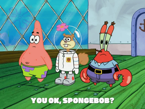 season 5 GIF by SpongeBob SquarePants