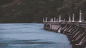 washington GIF