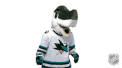 Ice Hockey Wow GIF by NHL