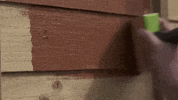 Ronseal_UK_Ireland ronseal diy fence GIF