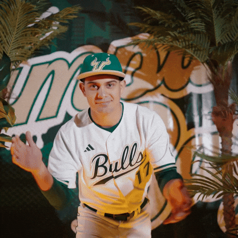 South Florida Baseball GIF by USF Athletics