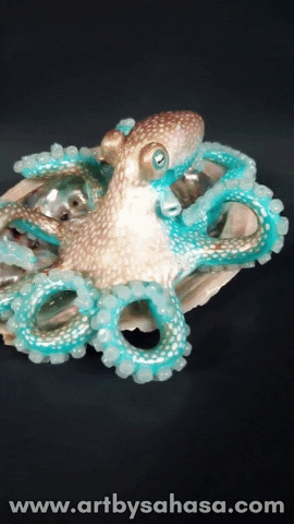 Coconut Octopus GIF by OctoNation® The Largest Octopus Fan Club!