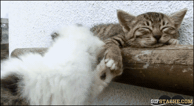 wake me up GIF