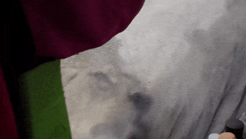 GIF by Mashable