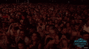 pitchfork music festival GIF by Pitchfork