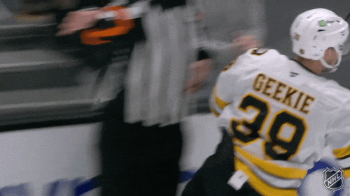 Happy Boston Bruins GIF by NHL