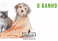 specialvetoficial agenda petshop groomer confirmado GIF
