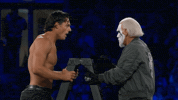 All In Wrestling GIF