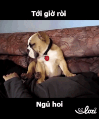 tumy GIF by Lozi Singapore Co.