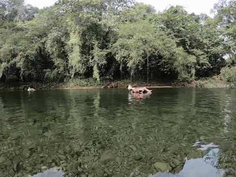 asheritaviajera giphyupload river rio turismo colombia GIF
