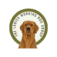 thelwdg labrador gundog gundogs gundogtraining Sticker