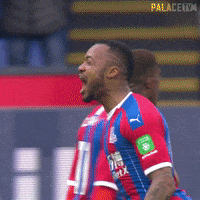 Premier League Football GIF by CPFC
