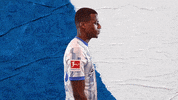 Bundesliga Berlin GIF by Hertha BSC