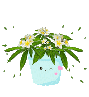 flower fleur Sticker by Yves Rocher