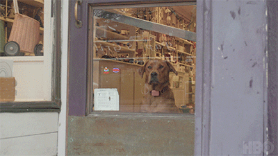 New York Comedy GIF by HBO