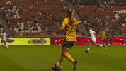 rslmarketing soccer nwsl national womens soccer league utah royals GIF