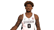 Basketball Pc Sticker by Providence Friars