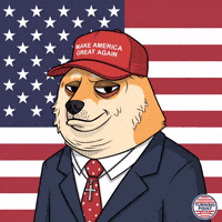 American Flag Nft GIF by Doge Pound