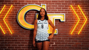 Georgia Tech Volleyball GIF by Georgia Tech Yellow Jackets