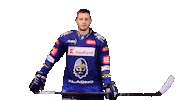 Hokej Pitule Sticker by Rytíři Kladno
