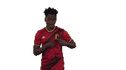 Red Devils Football Sticker by Royal Belgian FA