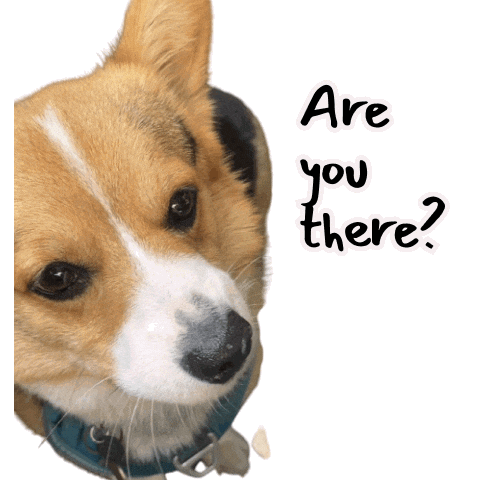 Are You There Corgi Sticker