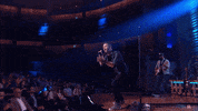 HallmarkChannel dog dogs puppy country music GIF