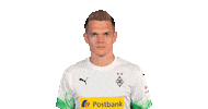 Matthias Ginter Bundesliga Sticker by Borussia Mönchengladbach