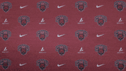 College Sports Sport GIF by CWU Athletics