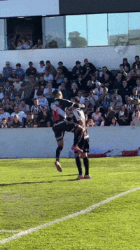Vasco Da Gama GIF
