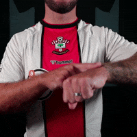 Premier League Football GIF by Southampton FC