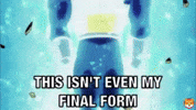 Shiba GIF by SHIB MEMES