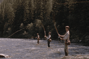 GIF by Raw Dog Dan