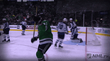 happy ice hockey GIF by NHL