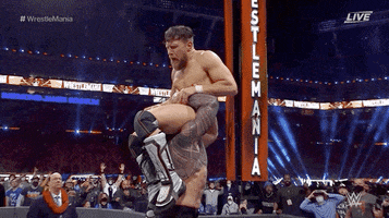 Roman Reigns Sport GIF by WWE
