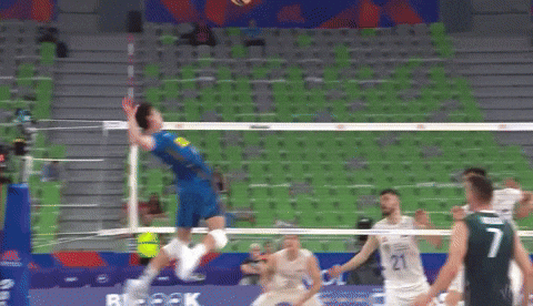 Volleyball Smile GIF