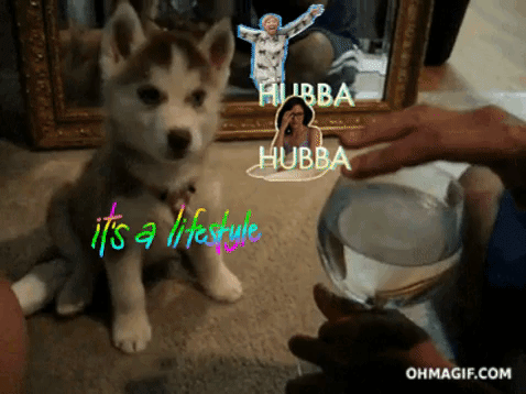 my life GIF