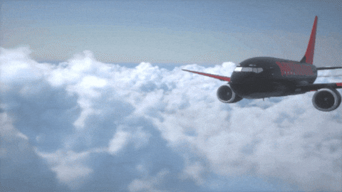 Flying Barry Stock GIF by Three Days Grace