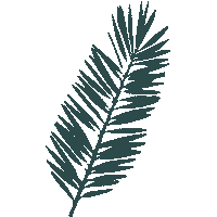 Underbar Hidden Bar Sticker by Tigre Morado