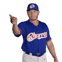 Sport Baseball Sticker by Charros de Jalisco