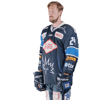 Dresden Del2 Sticker by Dresdner Eisloewen