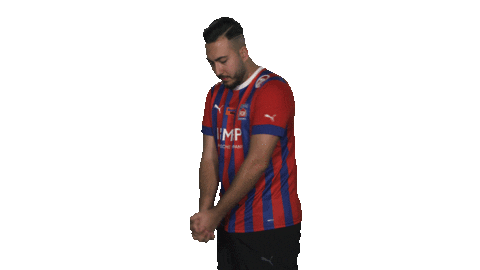 Hdh Sticker by Bundesliga