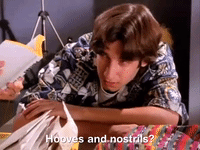 the mystery files of shelby woo nicksplat GIF