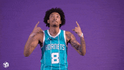Basketball Nba GIF by Charlotte Hornets