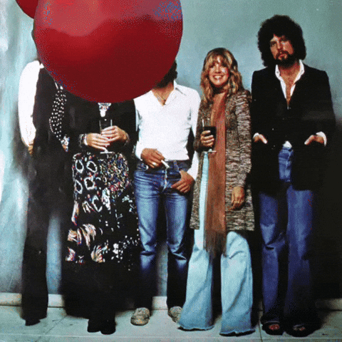 Stevie Nicks GIF