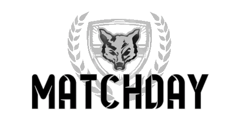 Ff Matchday Sticker by Fichtenfuechse
