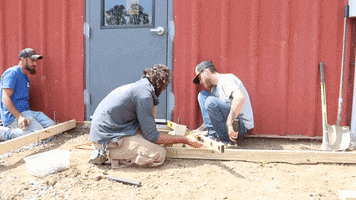 John Deere Tree GIF by JC Property Professionals