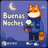 Crypto Solana GIF by BONK
