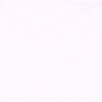 Beach Volleyball GIF by LSU Tigers