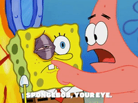 season 5 blackened sponge GIF by SpongeBob SquarePants